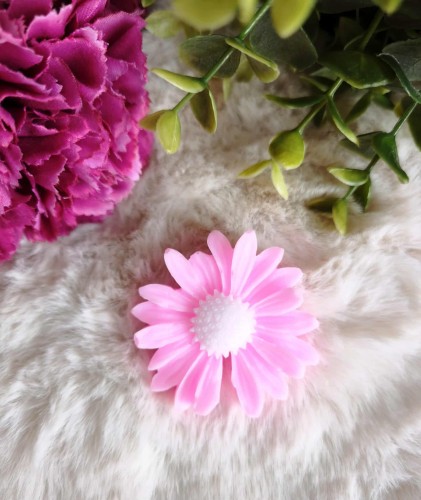 628421831_26453089397643111_1588500020683141094_n (1).jpg