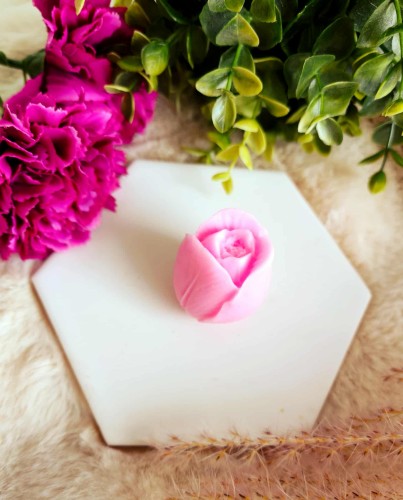 628391250_25988018134171921_3099469761065314871_n (1).jpg